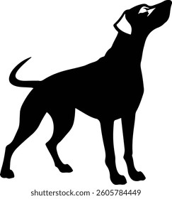 Dog silhouette vector style with white background