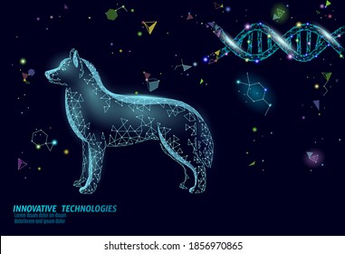 Dog Silhouette Veterinary Pharmacy Banner Template. Theatment Drug Virus Infection. Vet Care Medical Help. Vet Hospital Doctor Online Logo Vector Illustration