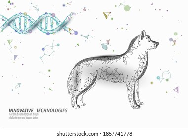 Dog Silhouette Veterinary Pharmacy Banner Template. Theatment Drug Virus Infection. Vet Care Medical Help. Vet Hospital Doctor Online Logo Vector Illustration