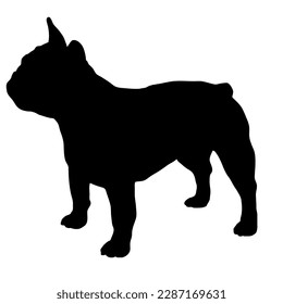  Dog silhouette.French bulldog  Vector dog breeds