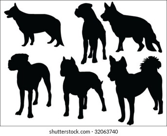 dog silhouettes collection vector