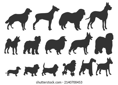 Dog silhouettes. Various breed. Doberman, malamute and labrador, poodle and corgi, bulldog and pug. Isolated vector set. Collection of pets or domestic animals as collie, akita and dachshund EPS