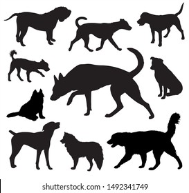 Dog  Silhouettes vector set graphic design isolated on white