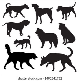 Dog  Silhouettes vector set graphic design isolated on white