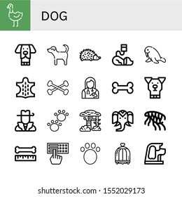 dog simple icons set. Contains such icons as Ostrich, Dog, Hedgehog, Veterinary, Walrus, Animal, Bones, Veterinarian, Bone, Hunter, Camouflage, can be used for web, mobile and logo
