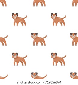 Dog single icon in cartoon style.Dog, vector symbol stock illustration web.