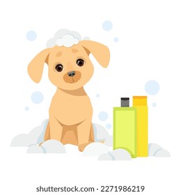 The dog sits in a soapy suds and jars of shampoo next