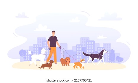 Dog sitter job outdoor. Male character with group of dogs on leash of different breeds in city. Pet care service. Person with domestic animals outside. Cartoon guy with puppies vector