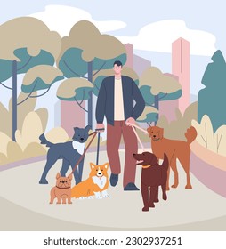 Dog sitter, volunteer walking with dogs on nature. Walker pets in city park, work or social service man. Pet care, outdoor time kicky vector modern concept