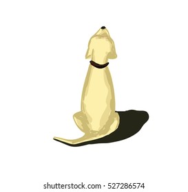 Dog sitting