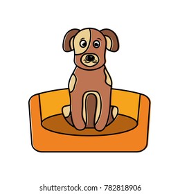 dog sitting in the bed pet animal