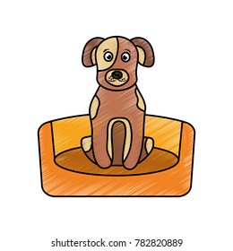 dog sitting in the bed pet animal