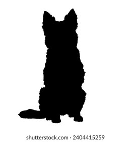 Dog sitting in the front view silhouette Breeds Bundle Dogs on the move. Dogs in different poses.
The dog jumps, the dog runs. The dog is sitting lying down is playing
