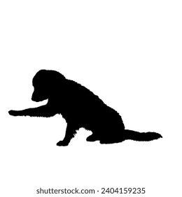 Dog Dog sitting gives paw Labrador silhouette Breeds Bundle Dogs on the move. Dogs in different poses. High quality 
The dog jumps,  runs. sitting. The dog is lying down playing