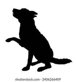 Dog sitting gives paw Labrador silhouette Breeds Bundle Dogs on the move. Dogs in different poses. jumps, the dog runs. The dog is sitting. The dog is lying down playing
