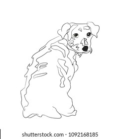 dog sitting, lines, vector, white background