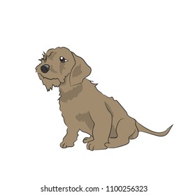 dog sitting, lines, vector, white background