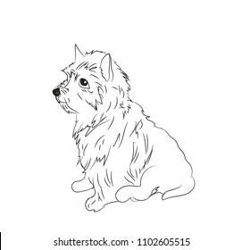 dog sitting, lines, vector, white background