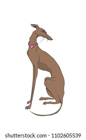 dog sitting, lines, vector, white background