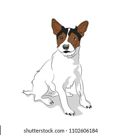 dog sitting, lines, vector, white background
