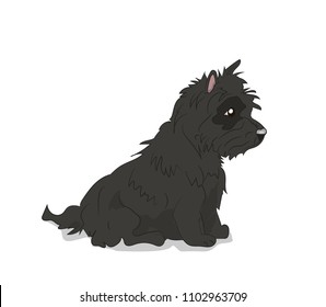 dog sitting, lines, vector, white background