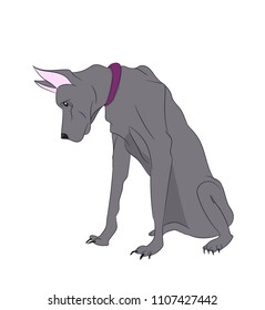 dog sitting, lines, vector, white background