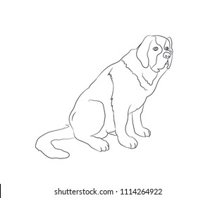dog sitting, lines, vector, white background