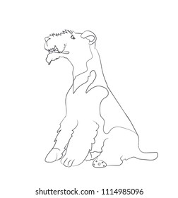 dog sitting, lines, vector, white background