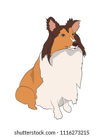 dog sitting, lines, vector, white background