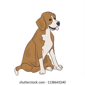 dog sitting, lines, vector, white background