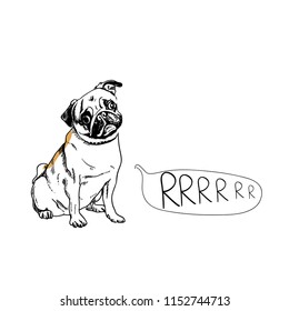 Dog sitting logo template. Pug says RRR