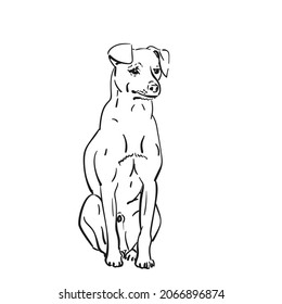 Dog sitting looking sad vector drawing, Hand drawn illustration, Isolated pet animal black line sketch on white