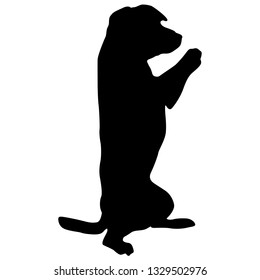 Dog sitting on its hind legs silhouette on a white background