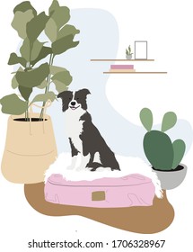 The dog is sitting on a dog lounger. Dog in a cozy apartment. Digital vector illustration. 