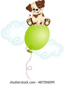 Dog sitting on top balloon
