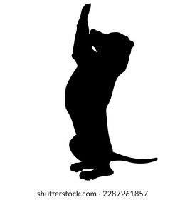 dog is sitting on two paws  silhouette. Vector dog breeds