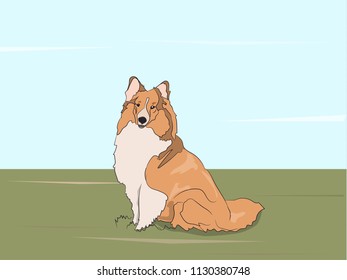 dog sitting, outdoors, vector