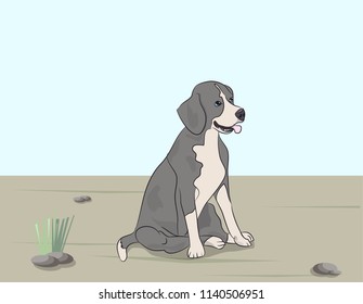 dog sitting, outdoors, vector