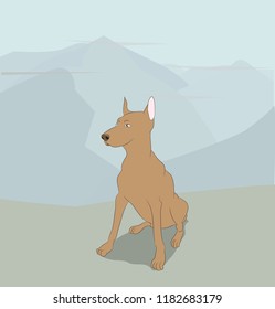 dog sitting outdoors, vector, dog sitting, outdoors, vector