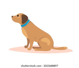 Dog sitting. Pet training concept. Vector illustration.