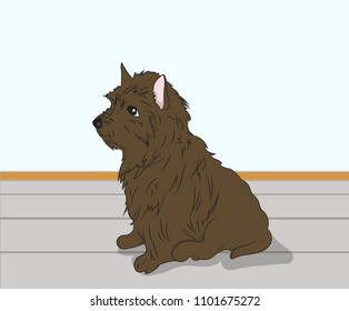 dog sitting in a room, vector, color
