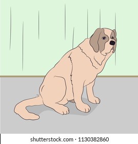 dog sitting in a room, vector, color