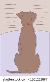 dog sitting in a room, vector, color