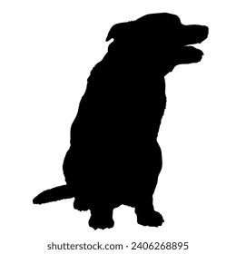 Dog sitting silhouette Breeds Bundle Dogs on the move. Dogs in different poses. jumps, the dog runs. The dog is sitting. The dog is lying down playing
