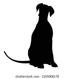 Dog Sitting Silhouette On White Background Stock Vector (Royalty Free ...