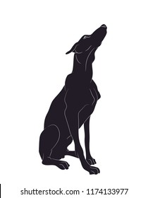 dog sitting, silhouette, vector, white background, vector