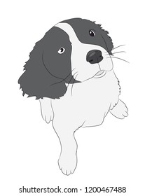 dog sitting, silhouette, vector, white background, vector