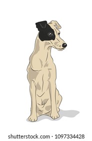 dog sitting, vector, white background