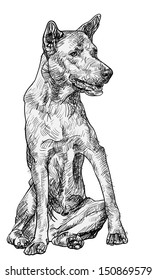 The dog is sitting and watching  something. 