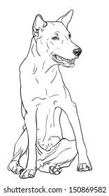 The dog is sitting and watching  something. 